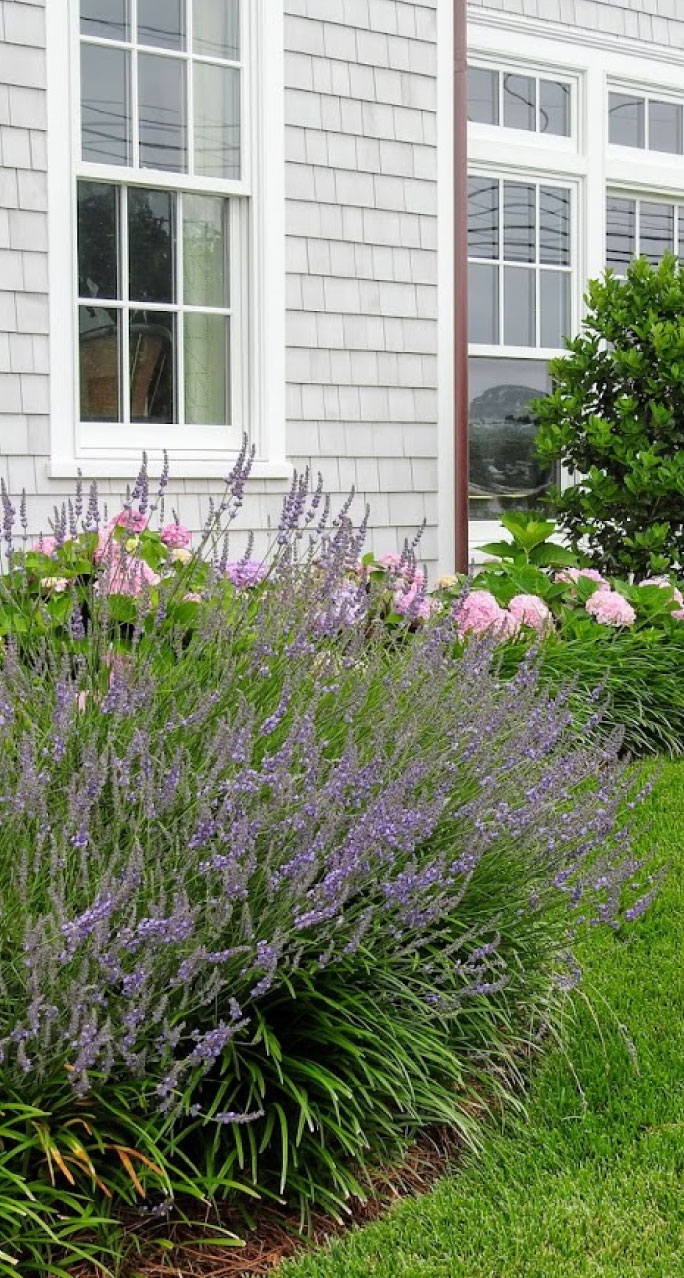 Home Bella Terra Landscapes