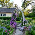 Home Cape Cottage Garden
