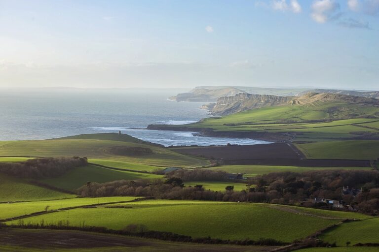 Home Dorset National Landscape
