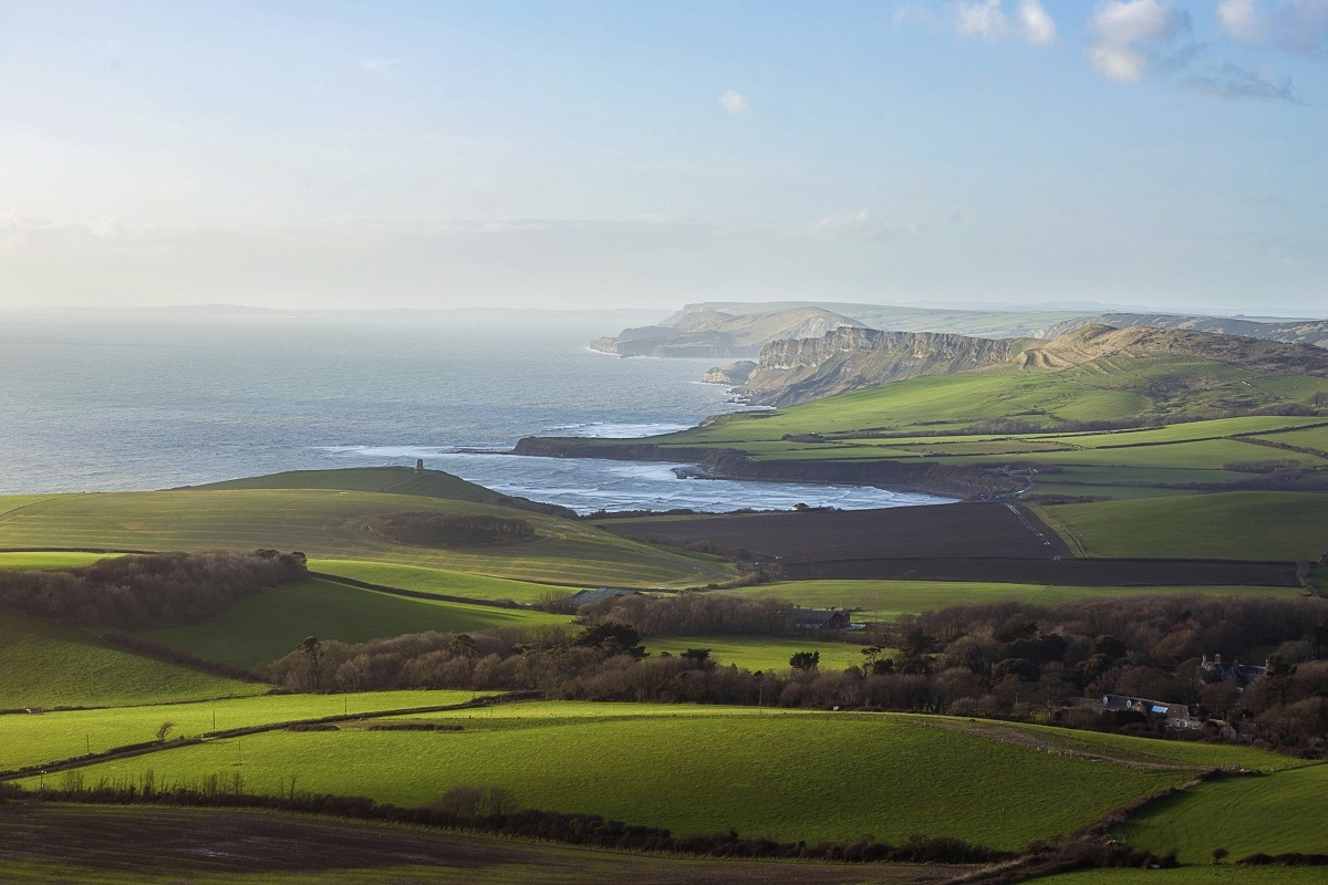 Home Dorset National Landscape