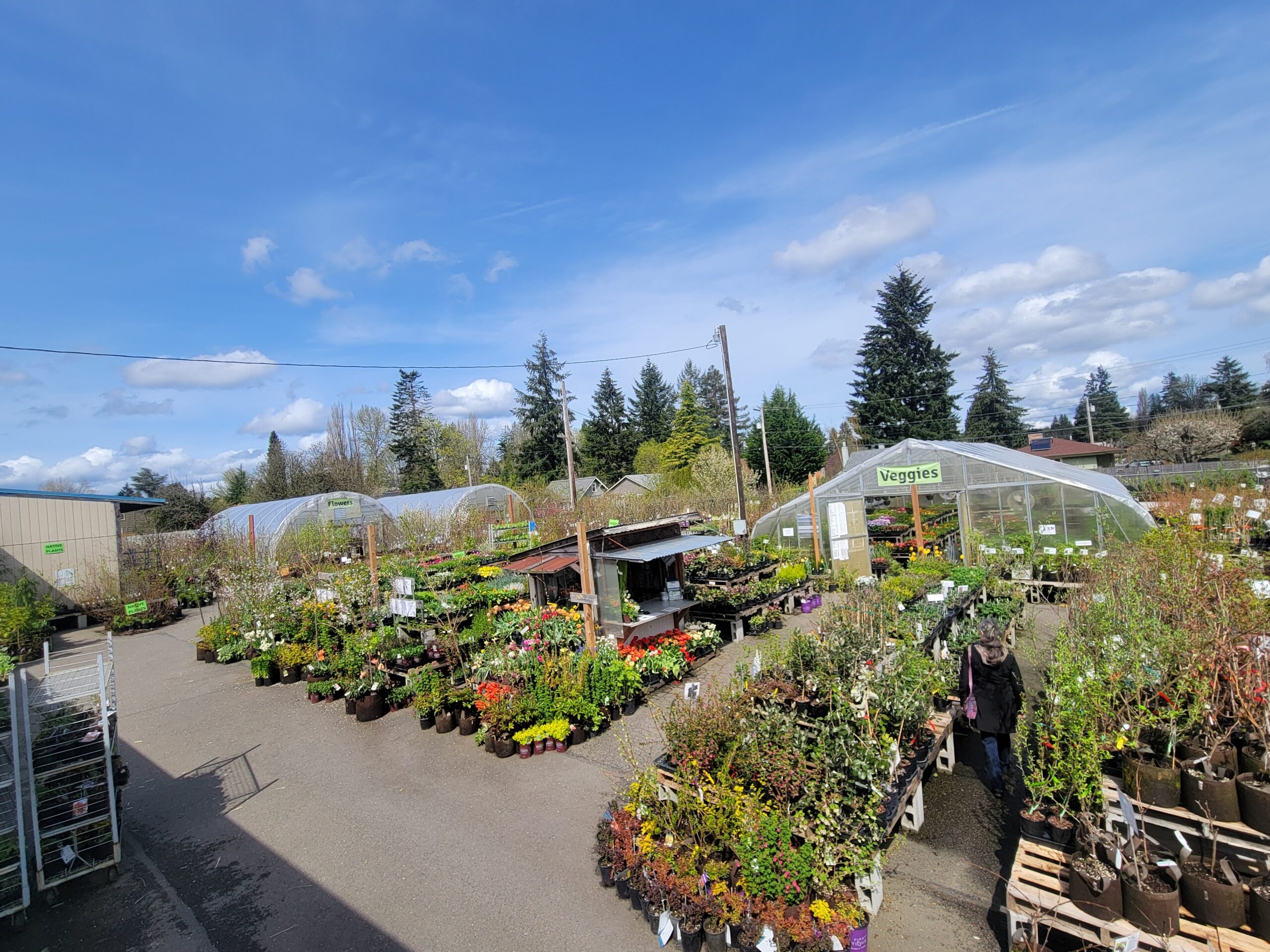 Home Eastside Urban Farm And Garden Organic Farm And Garden Supplies And Plant Nursery Home Eastside Urban Farm And Garden Organic Farm And Garden Supplies And Plant Nursery