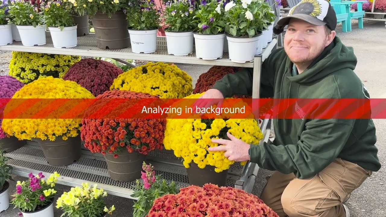 HOME Jack Frost Landscapes Garden Center HOME Jack Frost Landscapes Garden Center