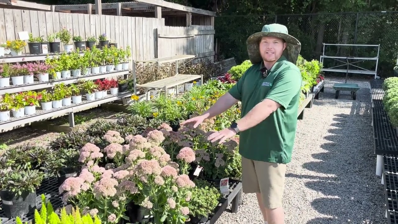 HOME Jack Frost Landscapes Garden Center HOME Jack Frost Landscapes Garden Center