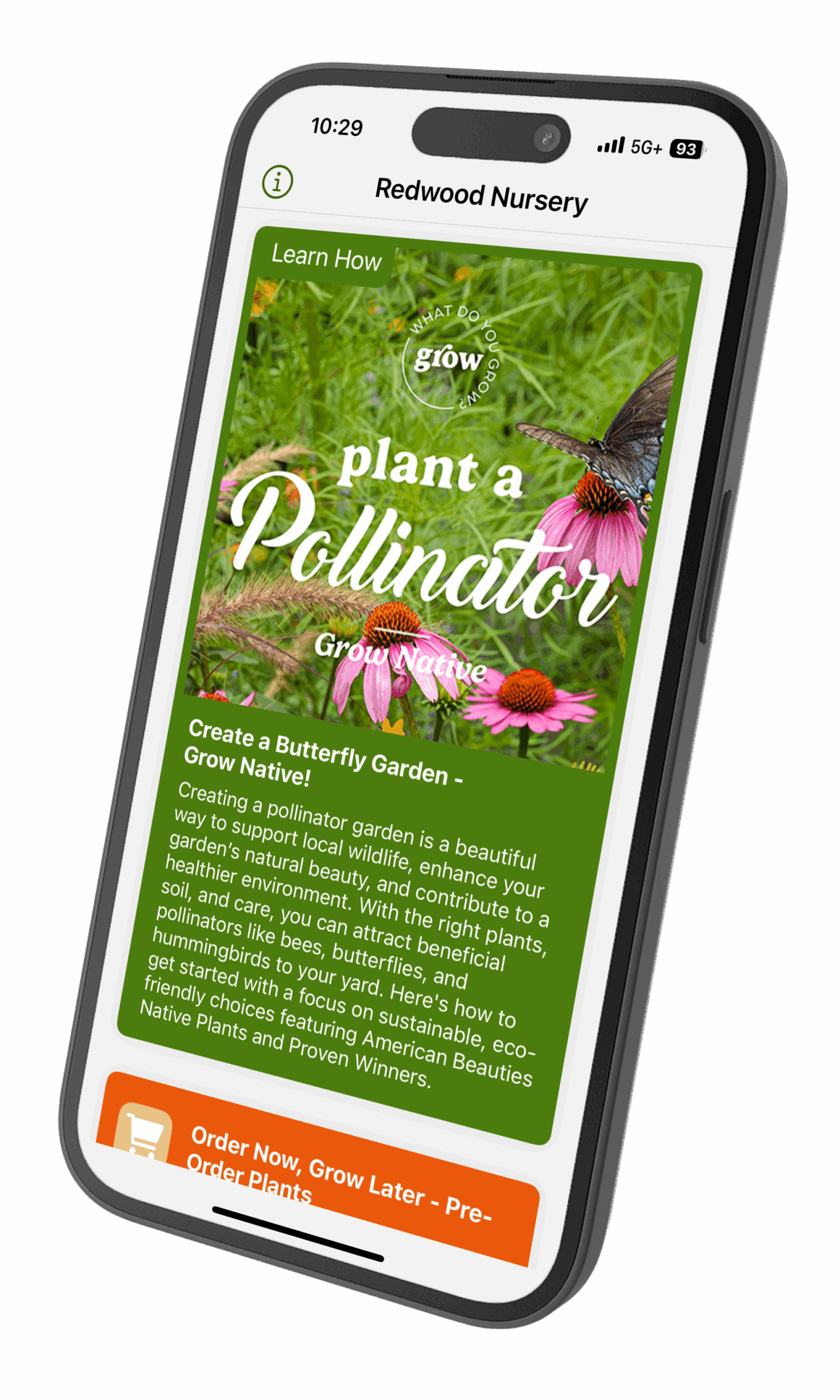 Home Redwood Nursery Garden Center Home Redwood Nursery Garden Center