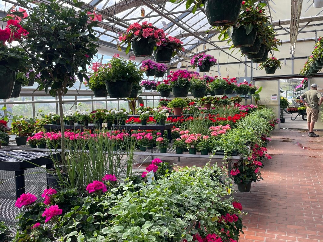 Home Sixteen Acres Garden Center 16 Acres Garden Center