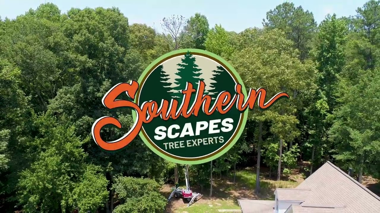Home Southern Scapes Tree Service Home Southern Scapes Tree Service