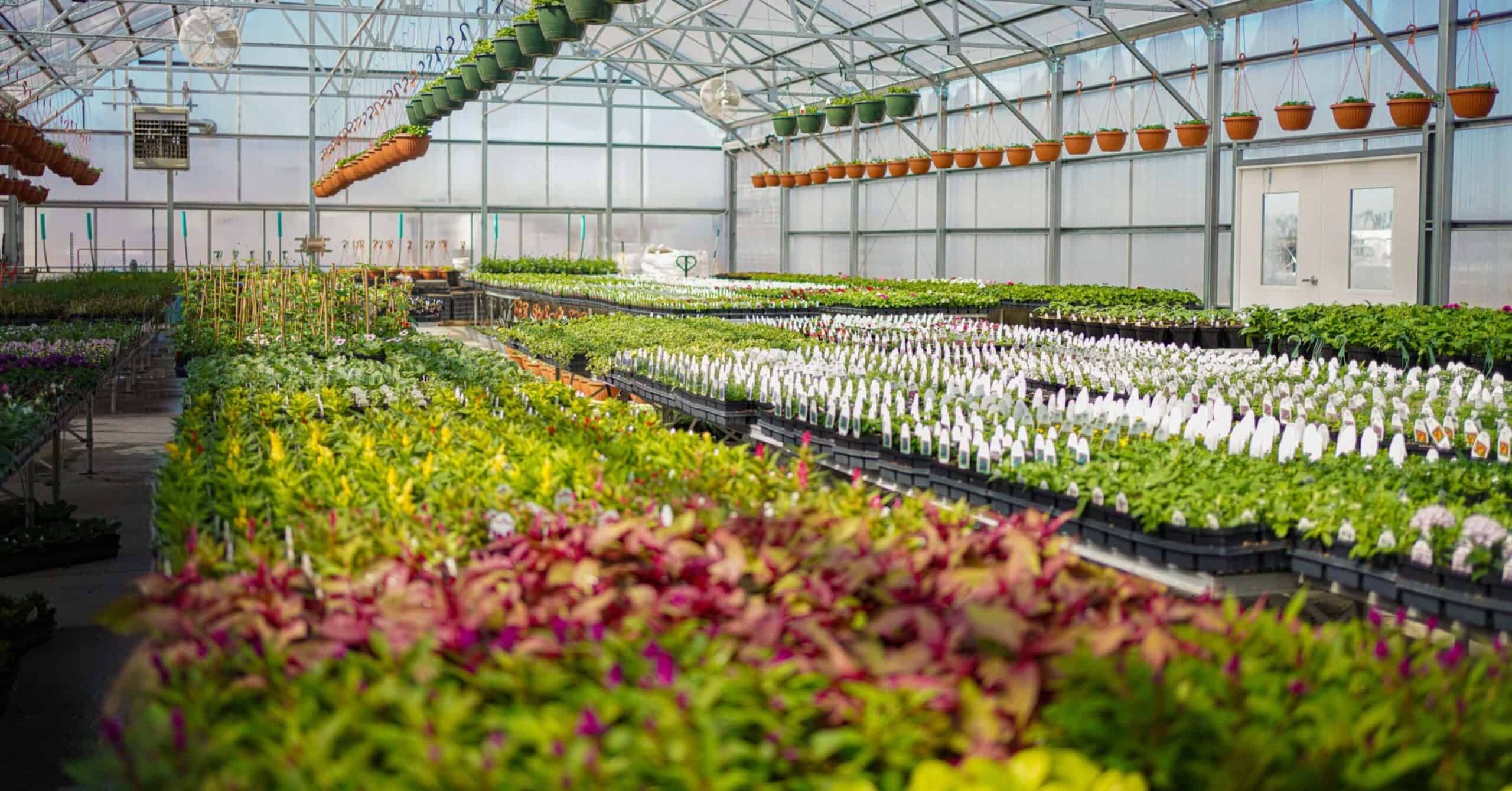 Home Stuart s Landscaping Home Stuart s Landscaping