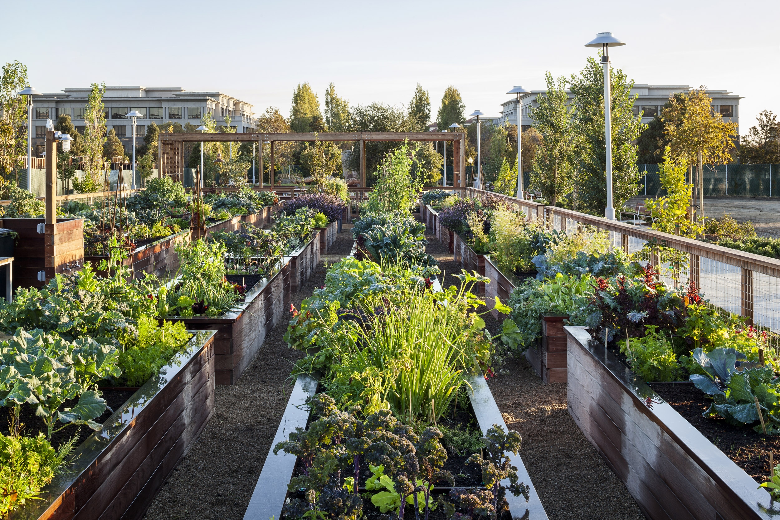 Homestead s Community Garden Project Featured In California Home Design Magazine Homestead Design Collective