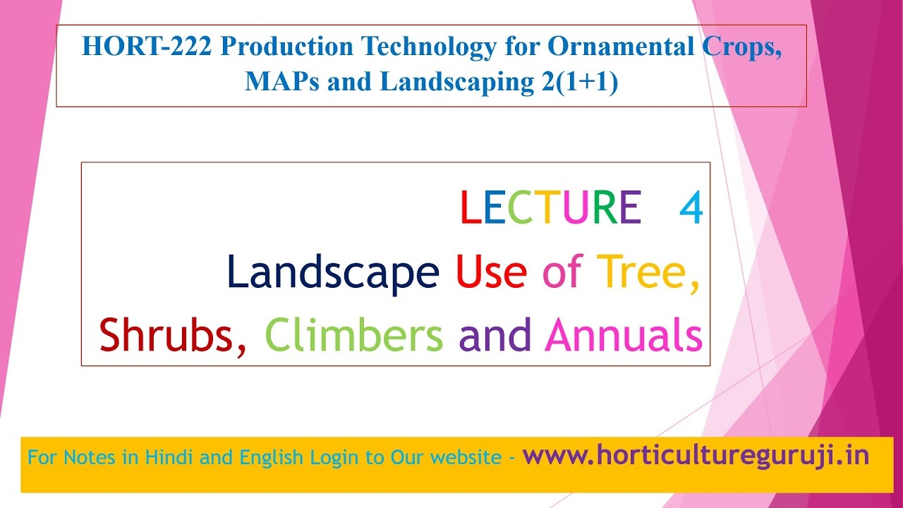 HORT222 Lecture 4 Landscape Use Of Tree Shrubs Climbers And Annuals YouTube