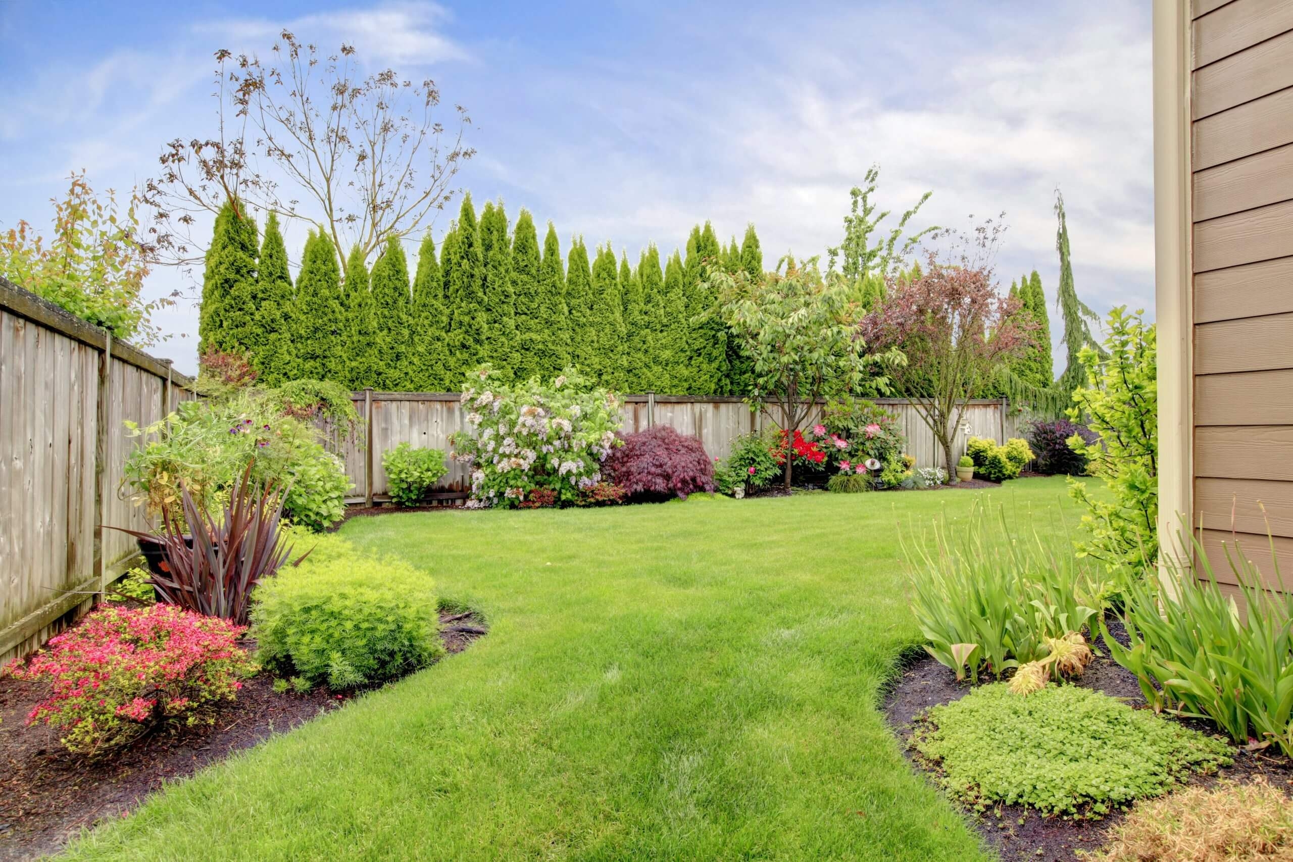 How Do I Landscape My Yard For Privacy 