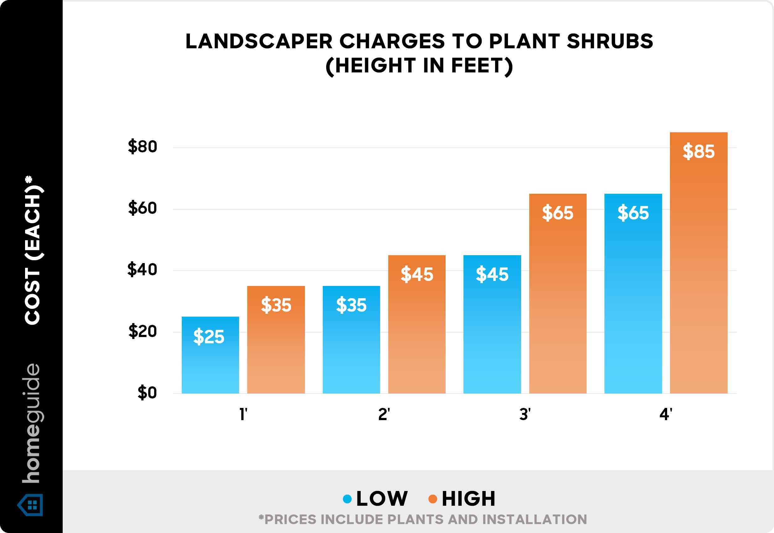 How Much Do Landscapers Charge To Plant Shrubs Flowers And Bushes 2025 