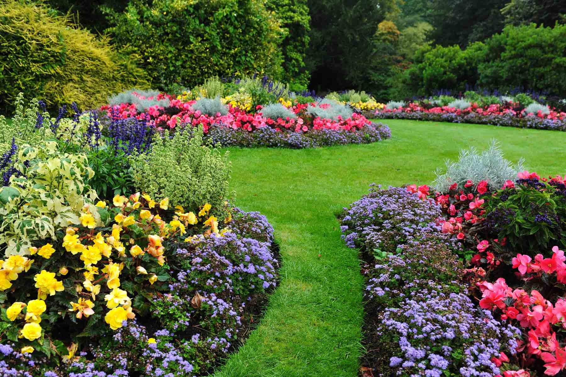landscape and plants