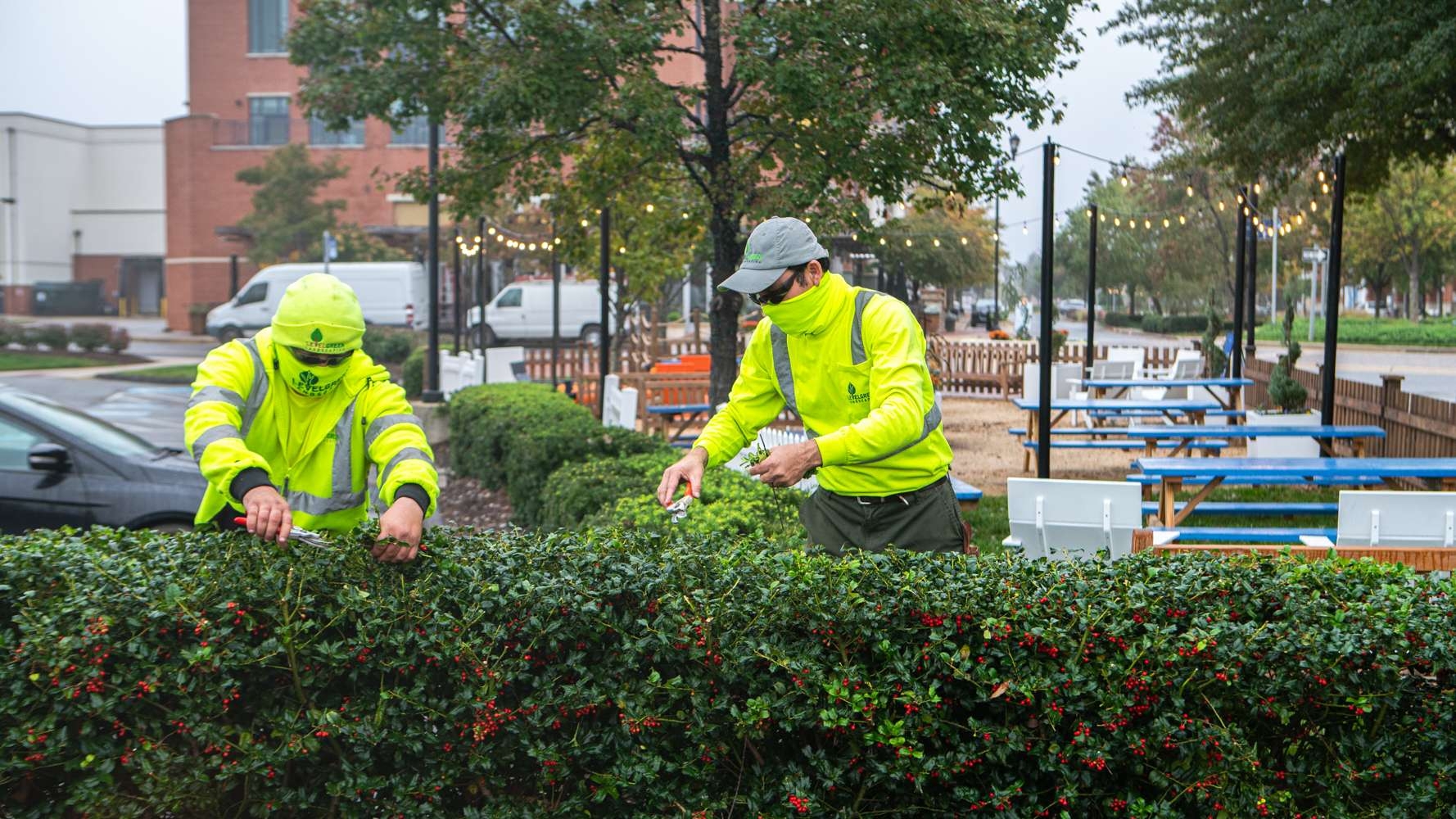 commercial landscape maintenance
