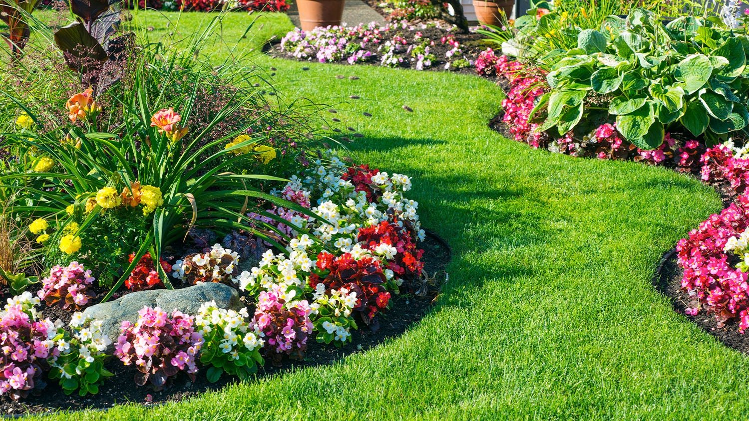 How To Choose The Perfect Plants For Your Landscape Design Jonathan Robert Landscapes