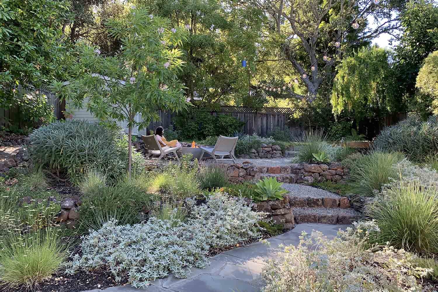 drought tolerant landscape