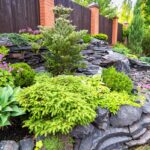 How To Create A Rock Garden A Guide To Landscaping With Rocks