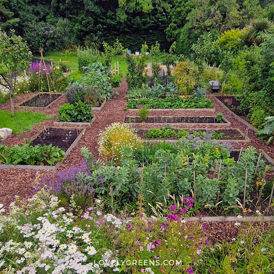How To Design A Vegetable Garden Layout Lovely Greens