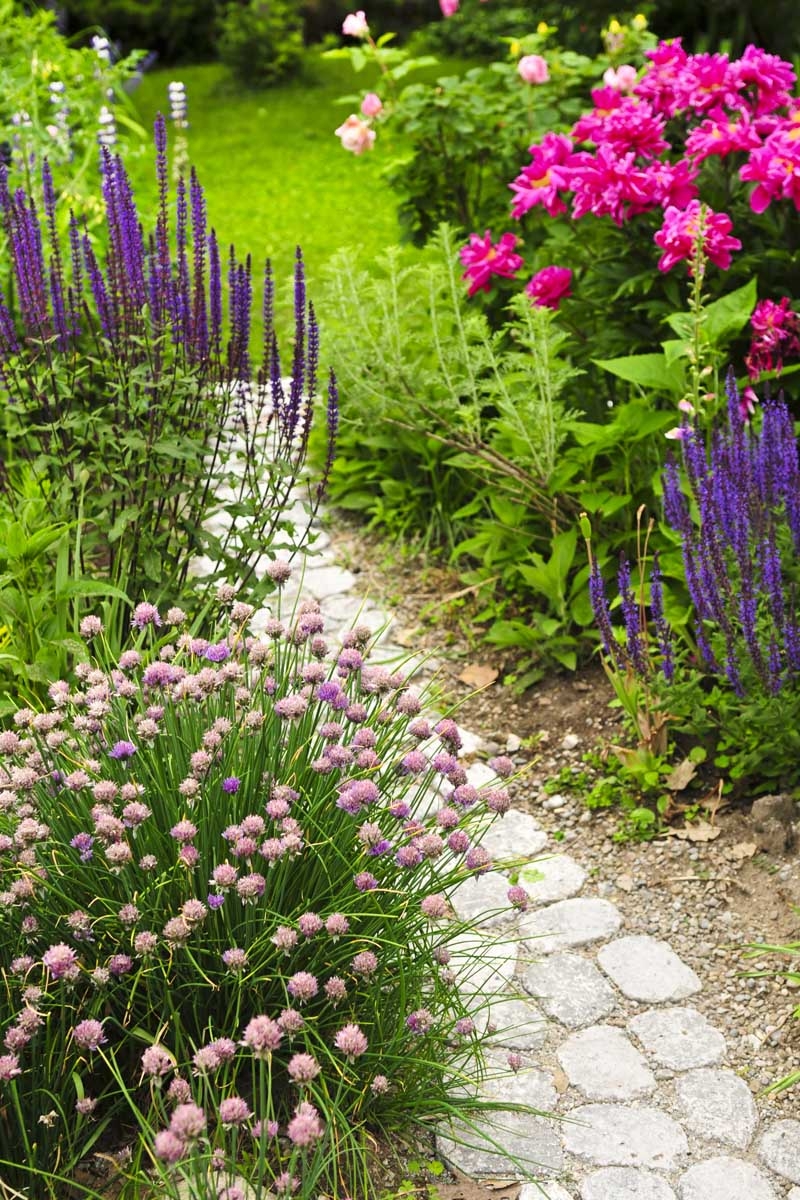 How To Design An Old Fashioned Cottage Garden Gardener s Path