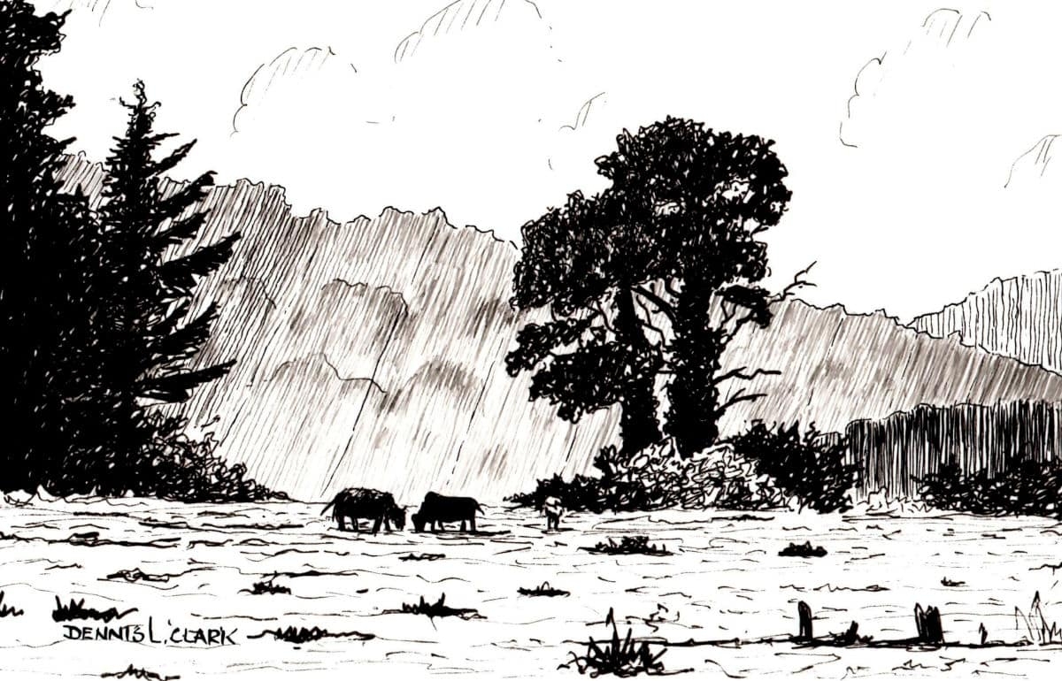How To Draw A Meadow Scene In Pen And Ink Online Art Lessons
