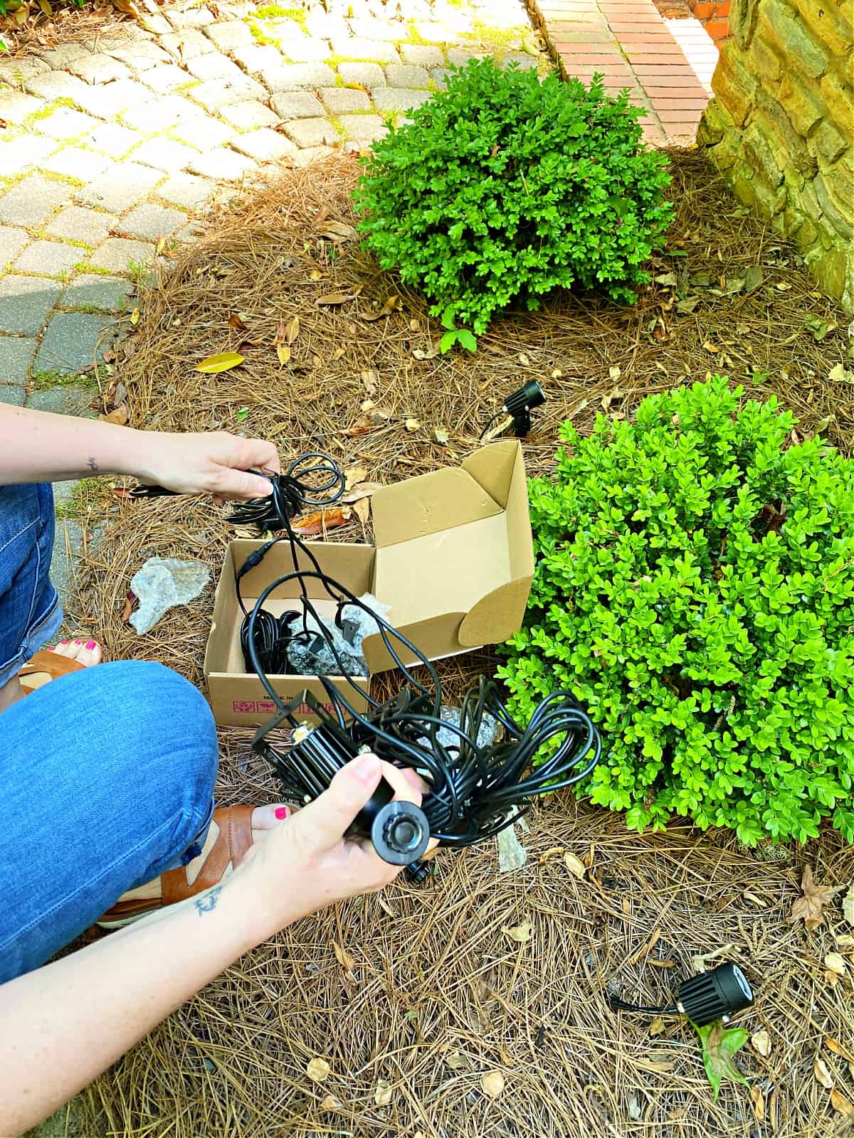 How To Install Outdoor Landscape Lighting Chatfield Court