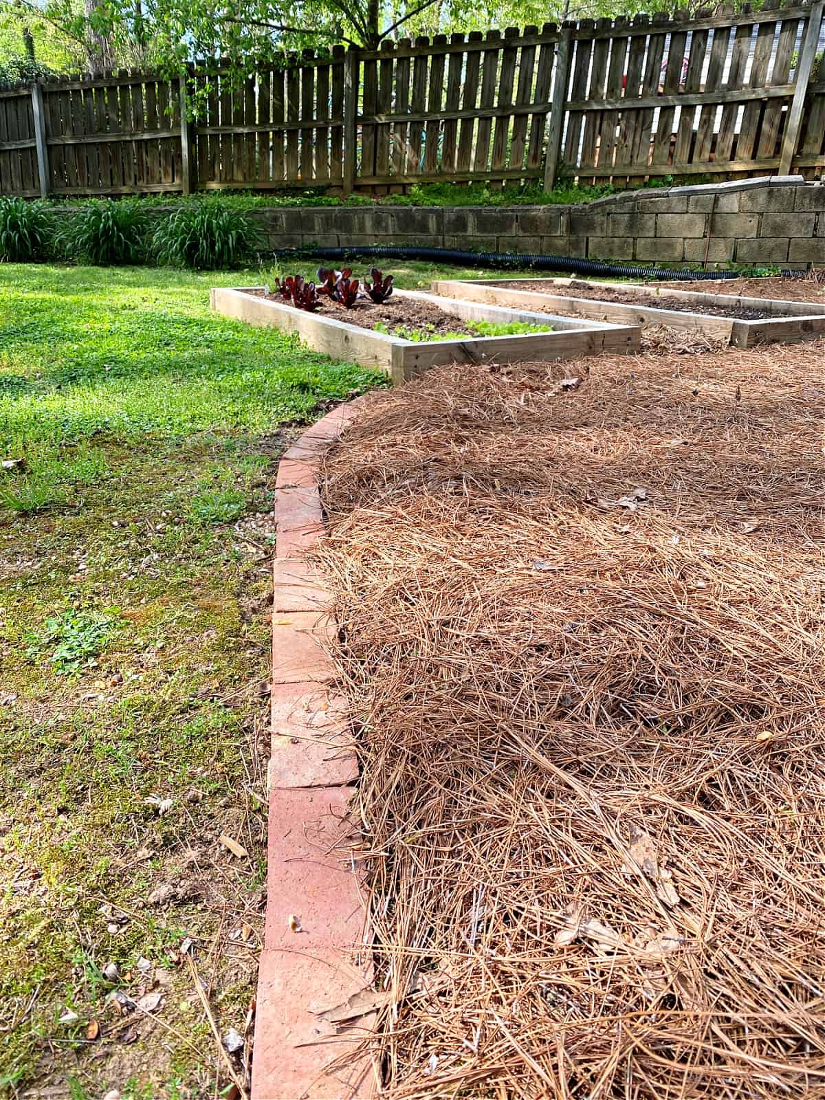 How To Lay Brick Garden Edging Chatfield Court
