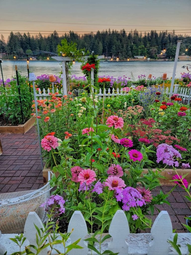 How To Plan A Stunning Cut Flower Garden Layout Shiplap And Shells