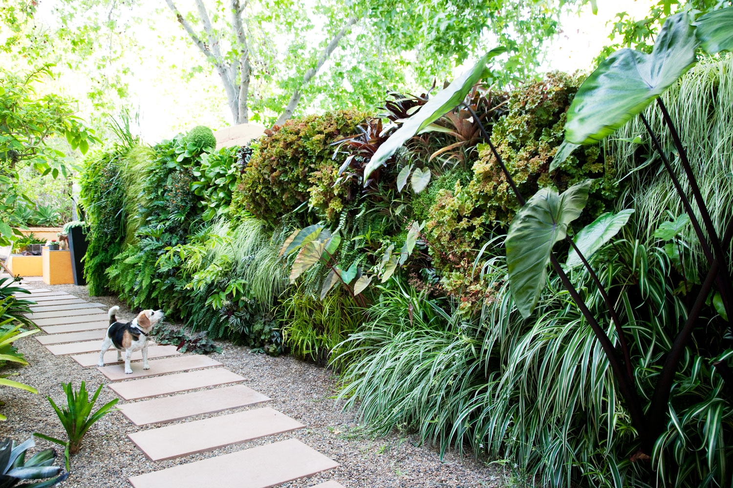 green garden landscaping