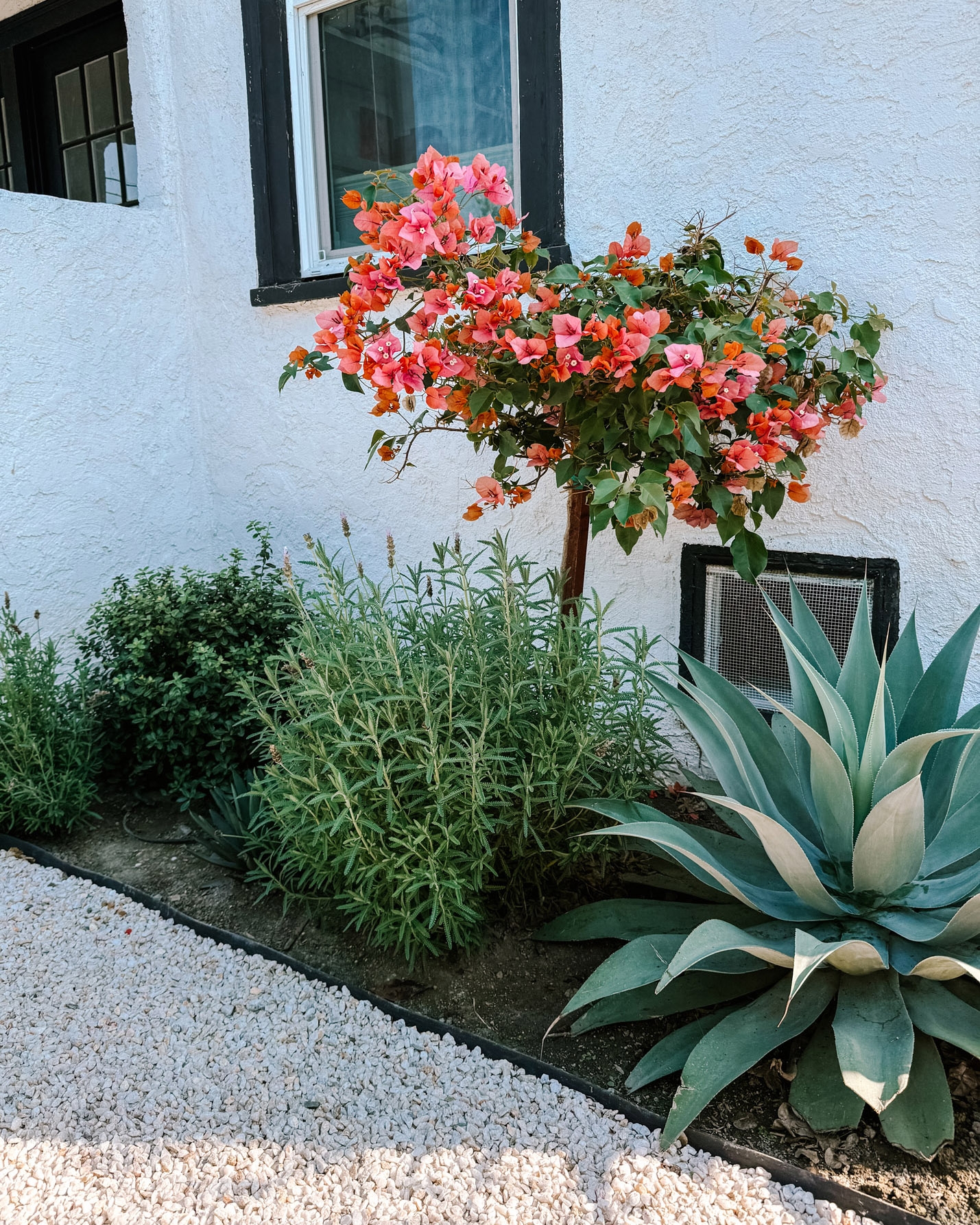 How To Start A Garden 5 Must Know Tips For Beginner Gardeners Away Lands