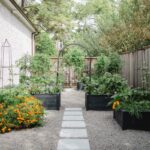 How To Start A Garden Part 2 Creating A Garden Design Gardenary