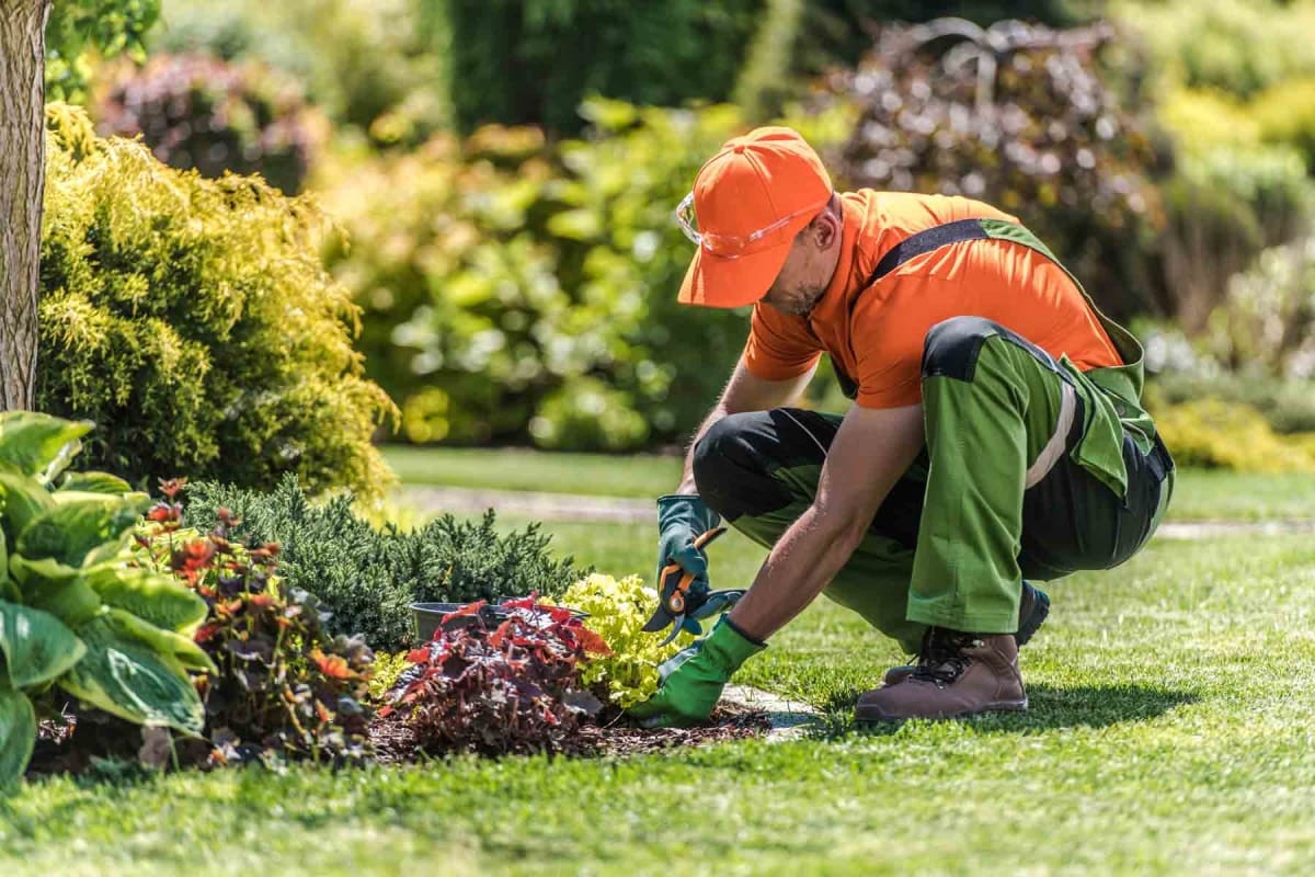 How To Start A Landscaping Business A Complete Guide For Beginners 2025 