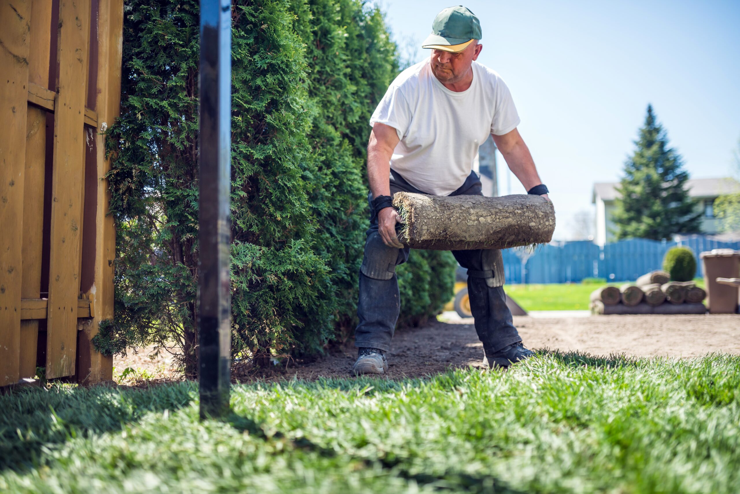How To Start A Landscaping Or Lawn Care Business NerdWallet