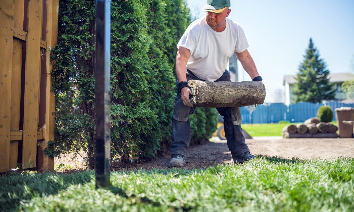 How To Start A Landscaping Or Lawn Care Business NerdWallet
