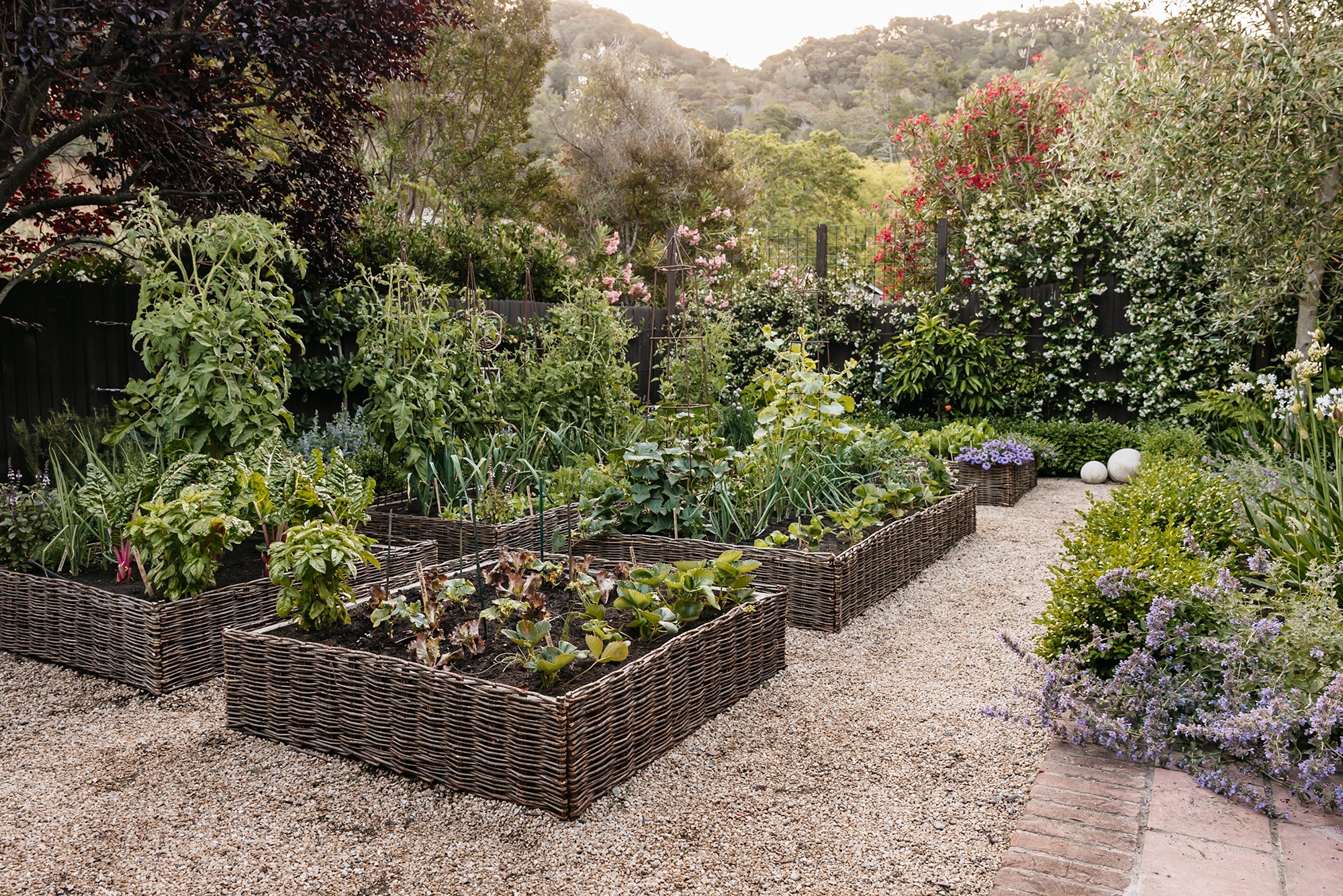 How To Start A Vegetable Garden According To An Expert Gardener Sunset Magazine How To Start A Vegetable Garden According To An Expert Gardener Sunset Magazine
