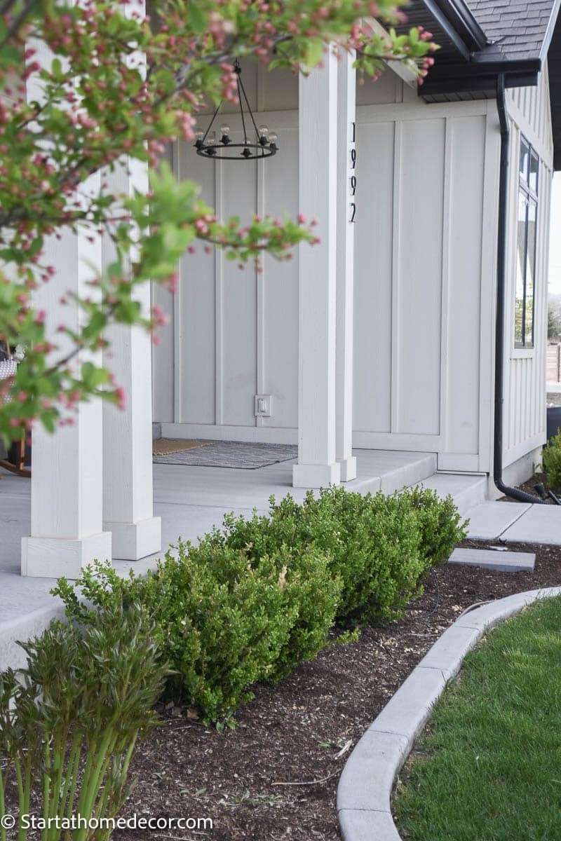 How To Use Boxwood Landscaping To Design Like A Pro Start At Home Decor