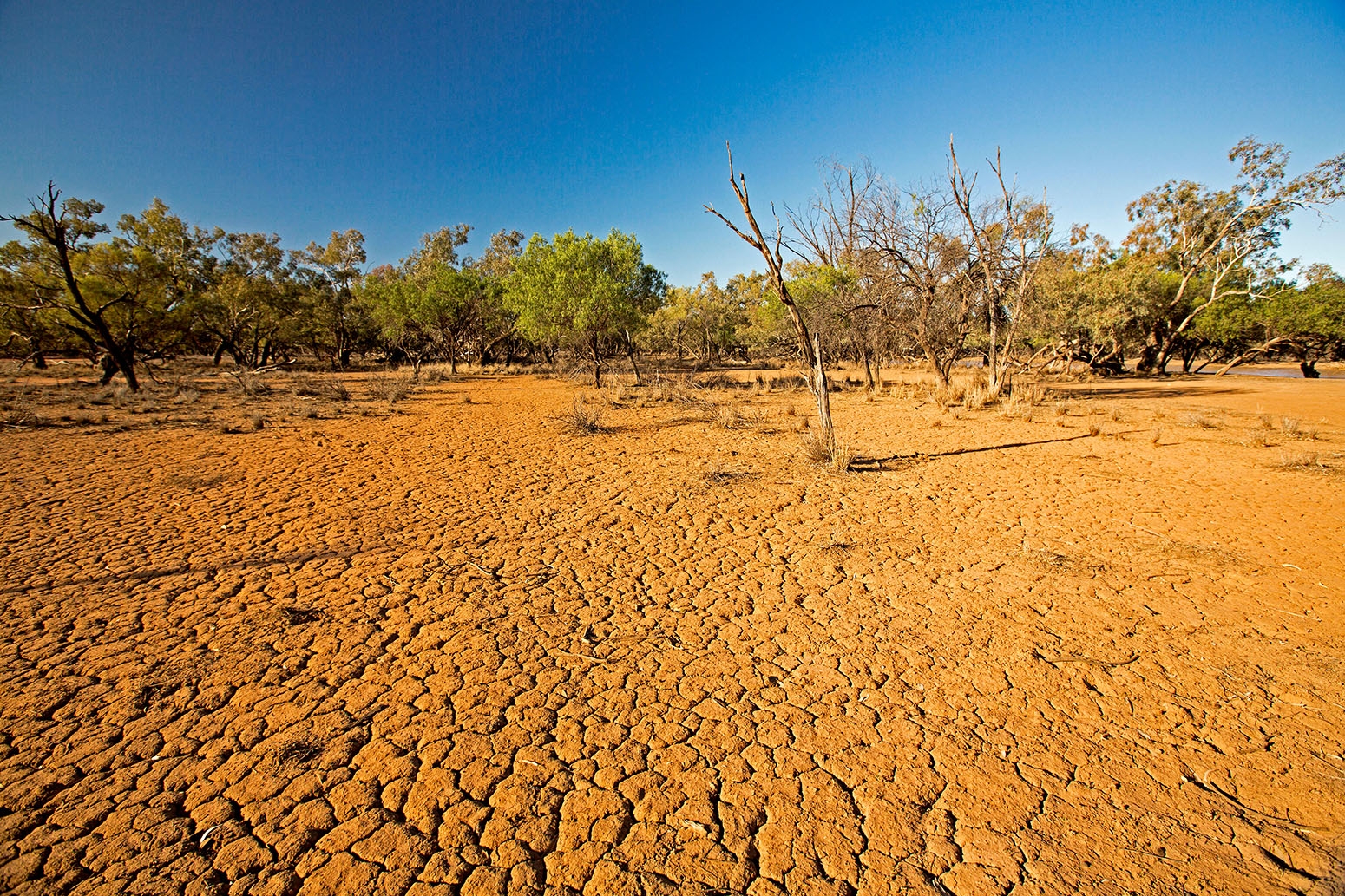 In depth Q A The IPCC s Special Report On Climate Change And Land