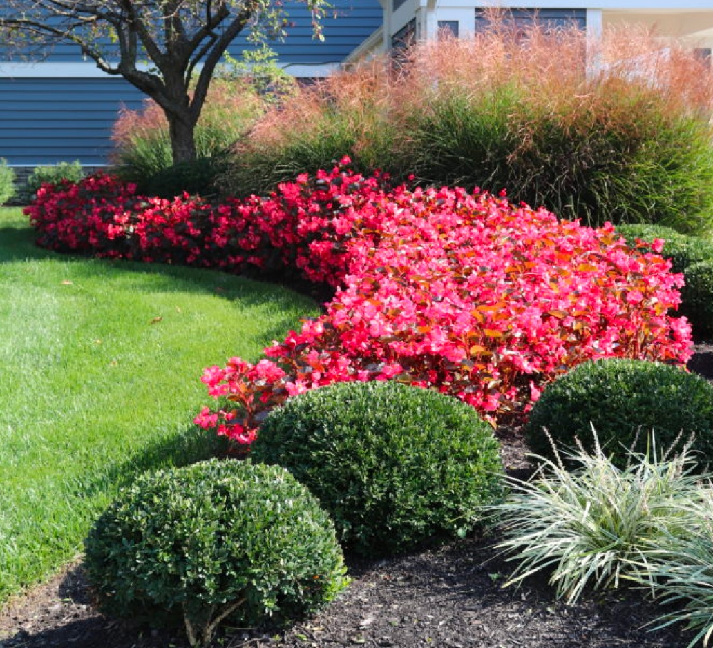 Indianapolis Cincinnati Dayton Commercial Landscaping