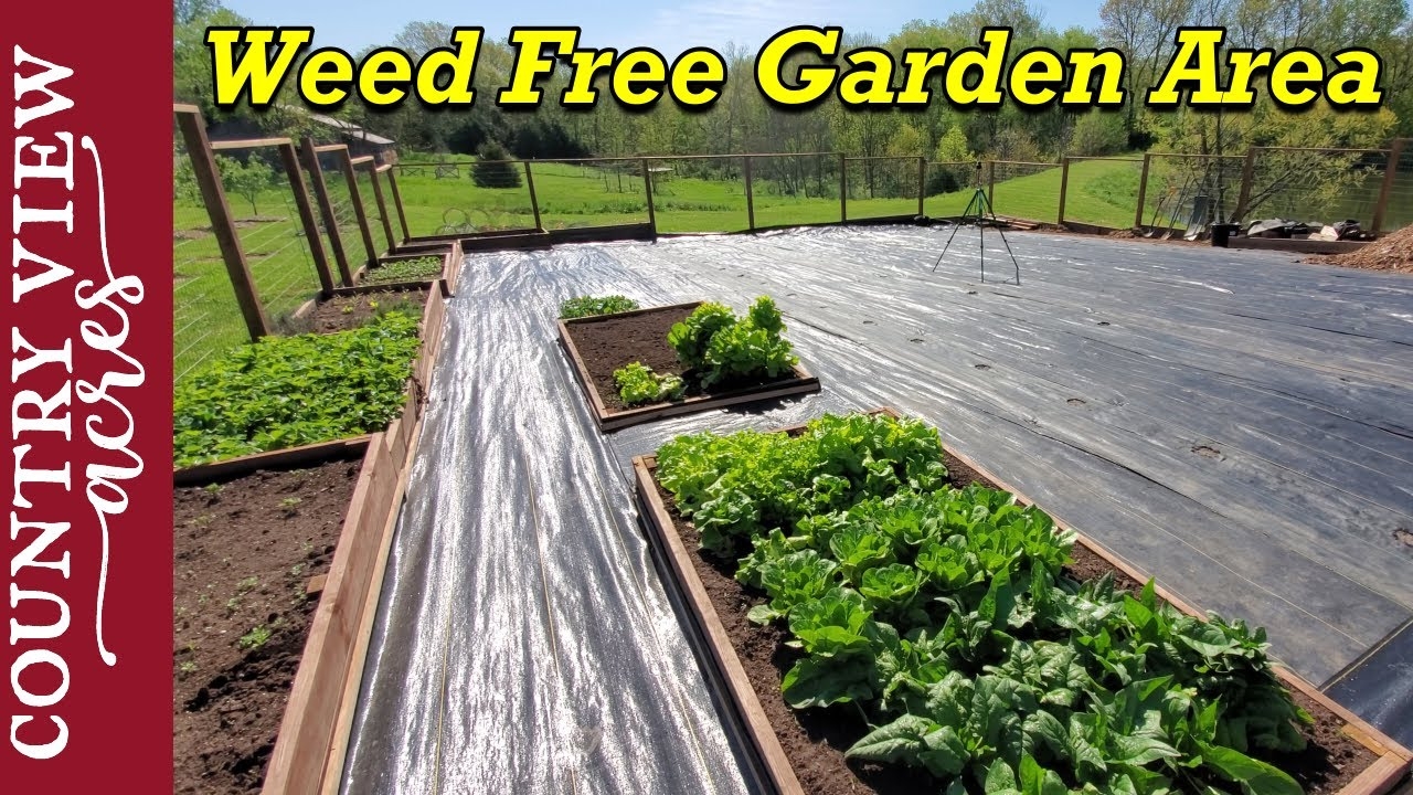 Installing Woven Weed Barrier In The Vegetable Garden YouTube