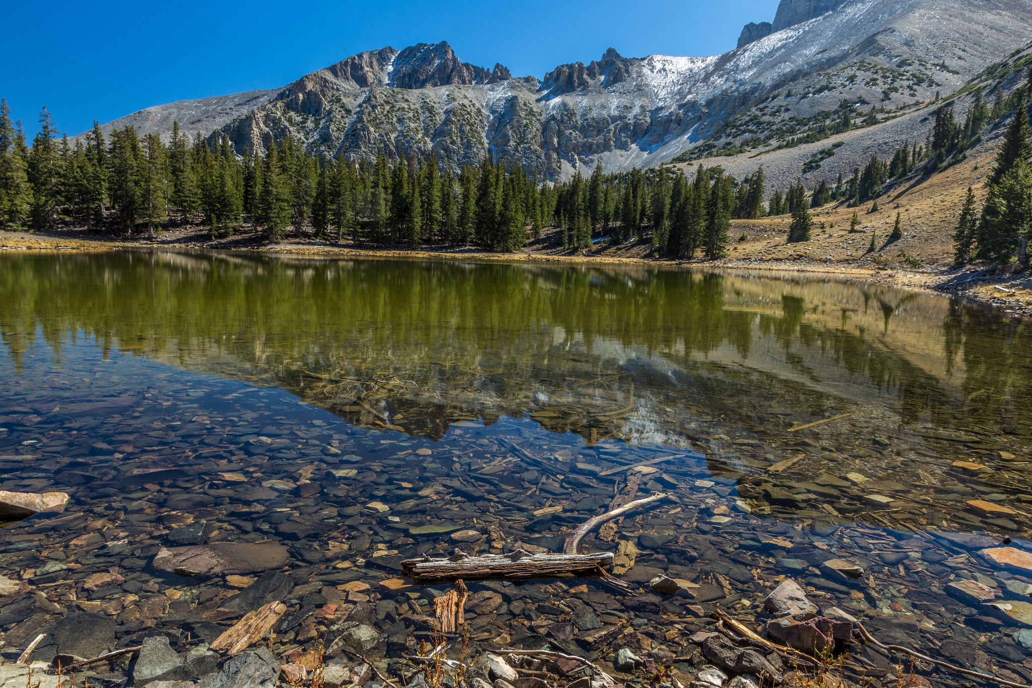 landscape conservation cooperative