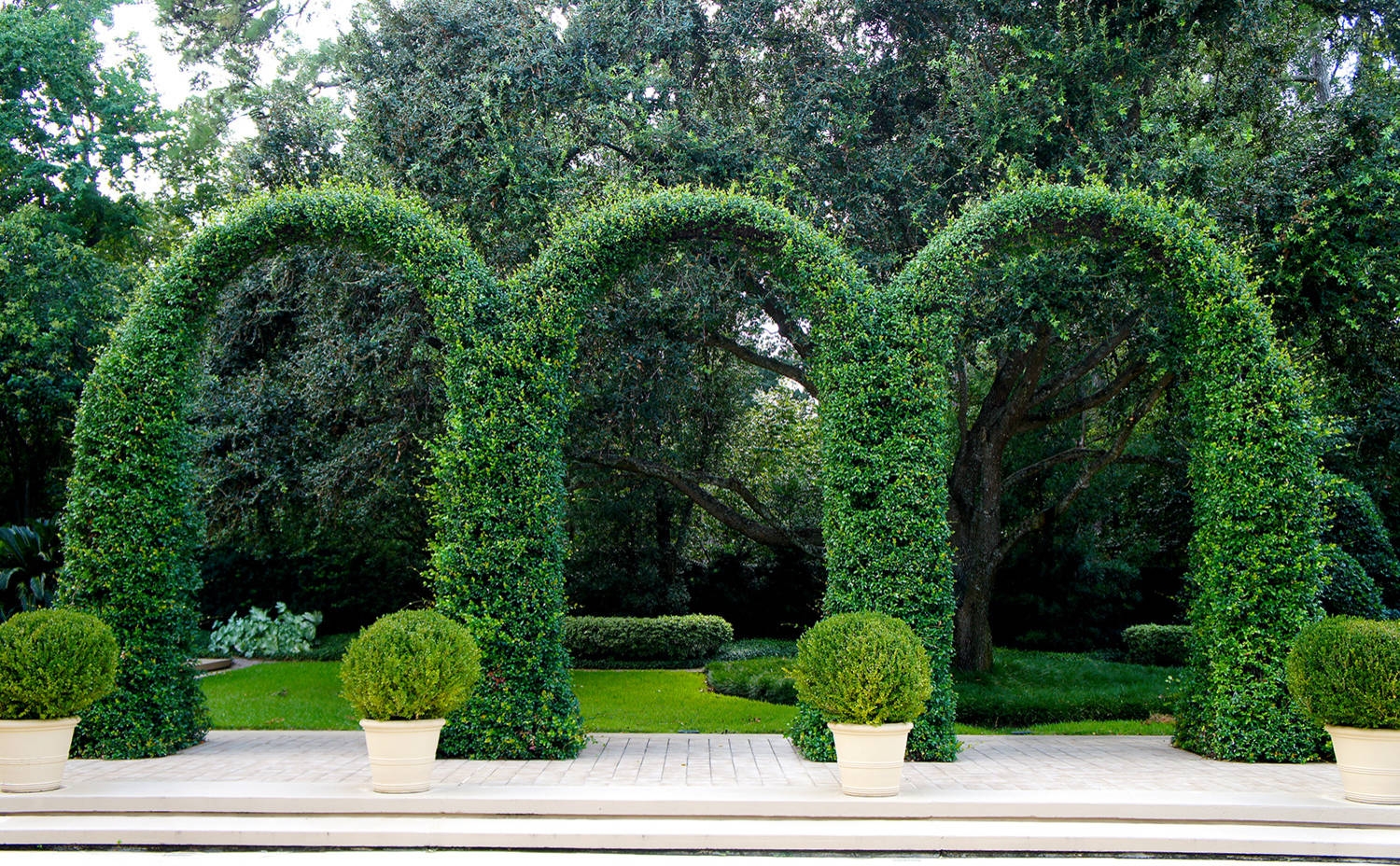 Italian Cypress Trees Photos Ideas Houzz