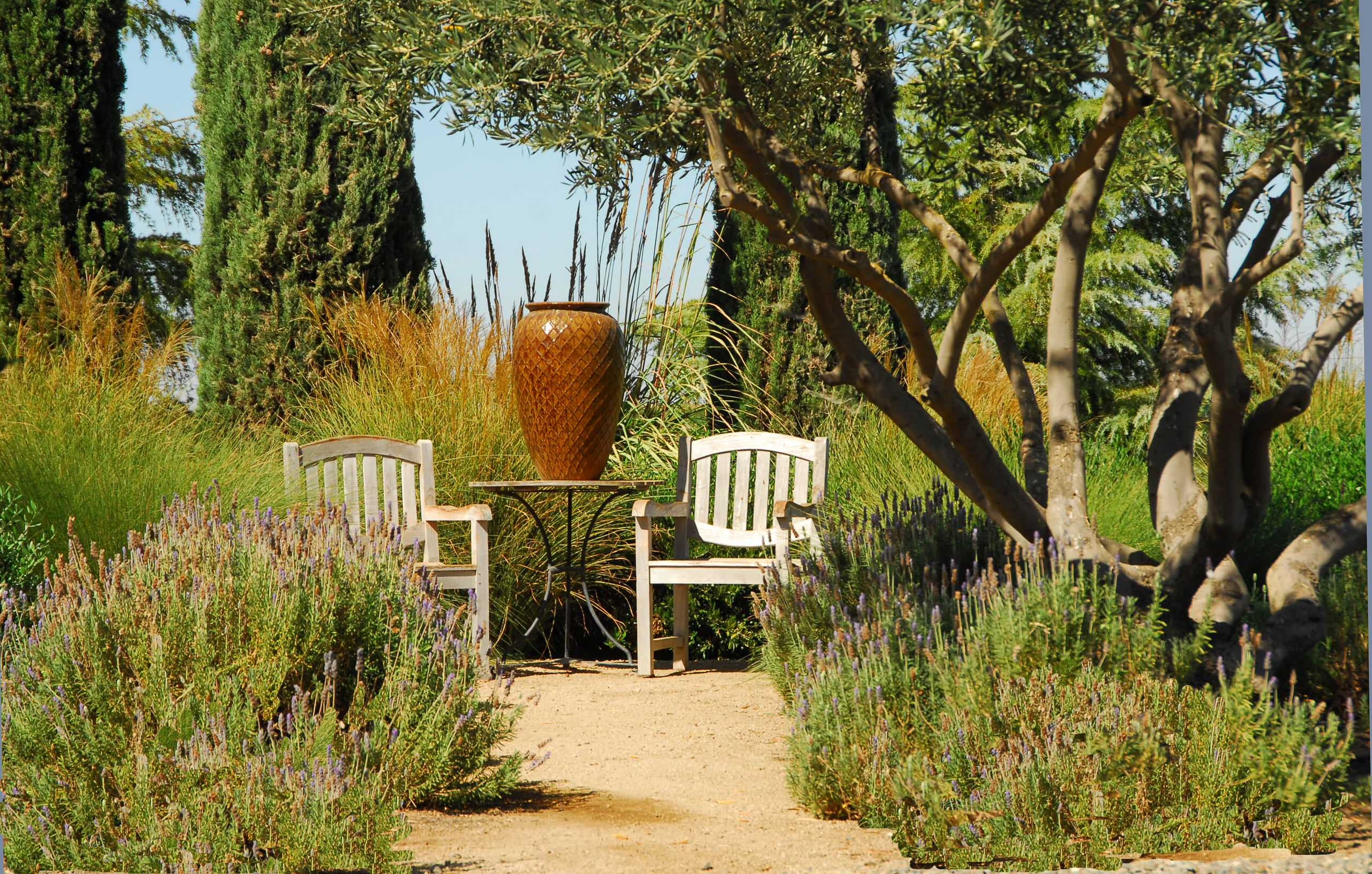 Italian Cypress Trees Photos Ideas Houzz