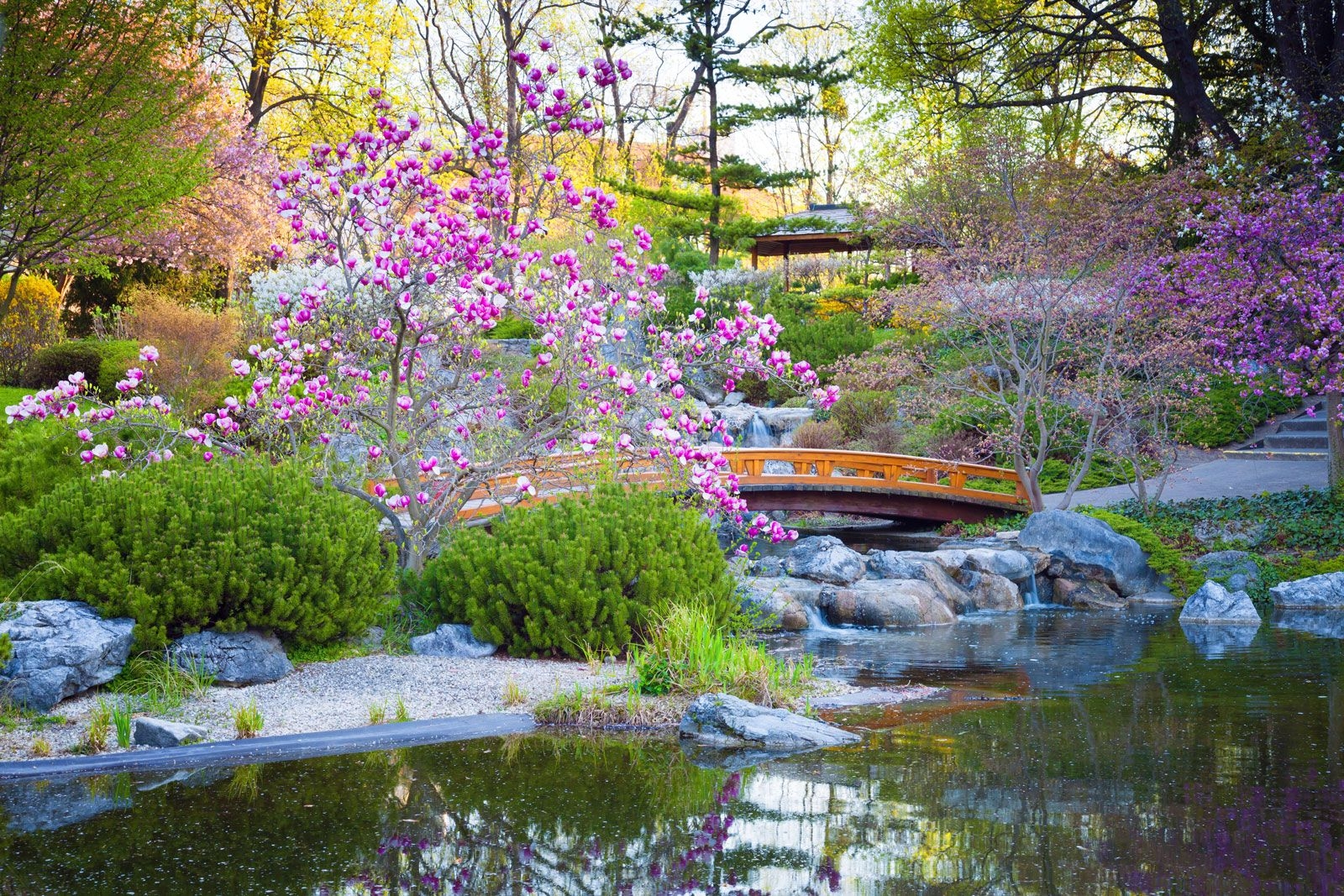 Japanese Garden Elements Types Examples Pictures Britannica Japanese Garden Elements Types Examples Pictures Britannica