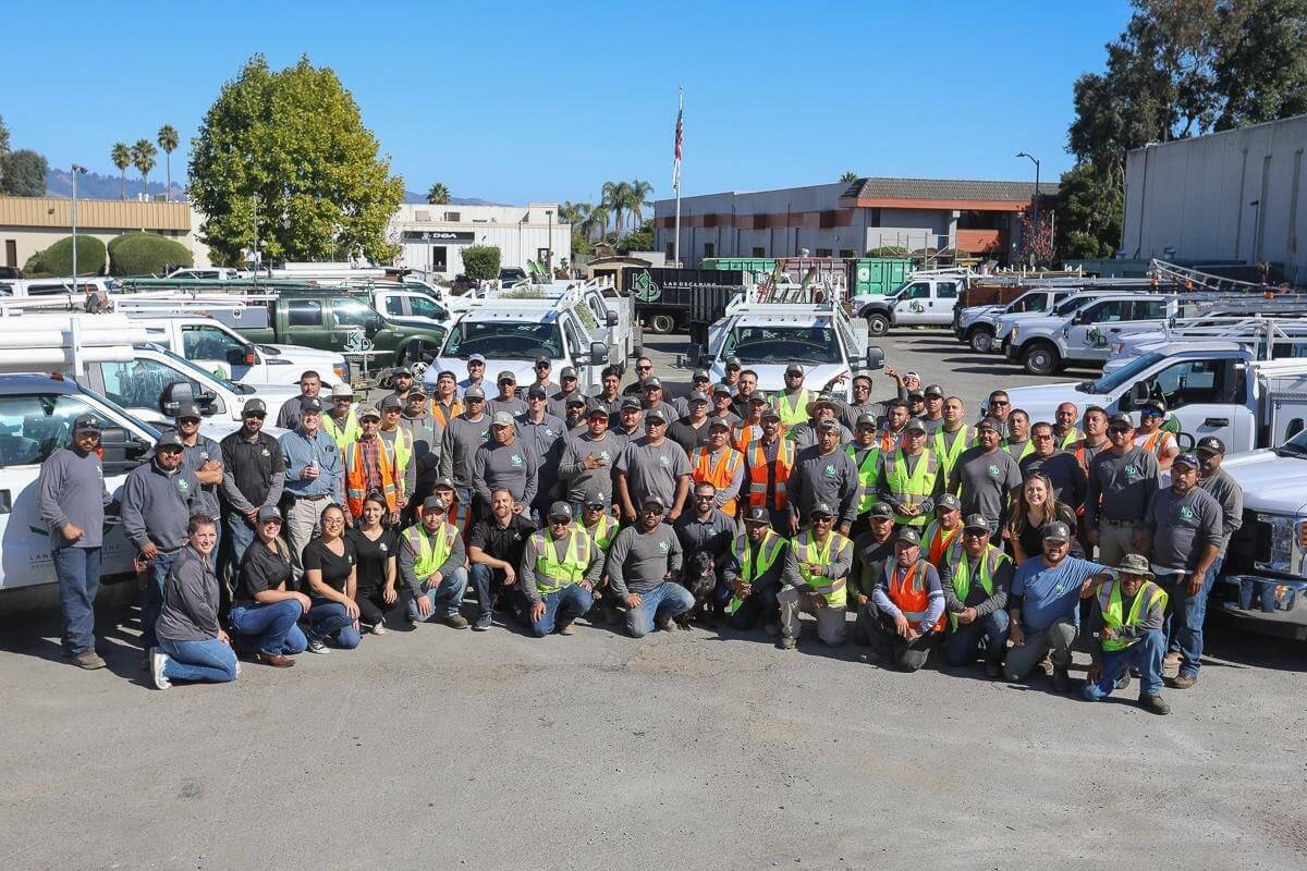 K D Landscaping Team Landscape Maintenance Team Watsonville CA