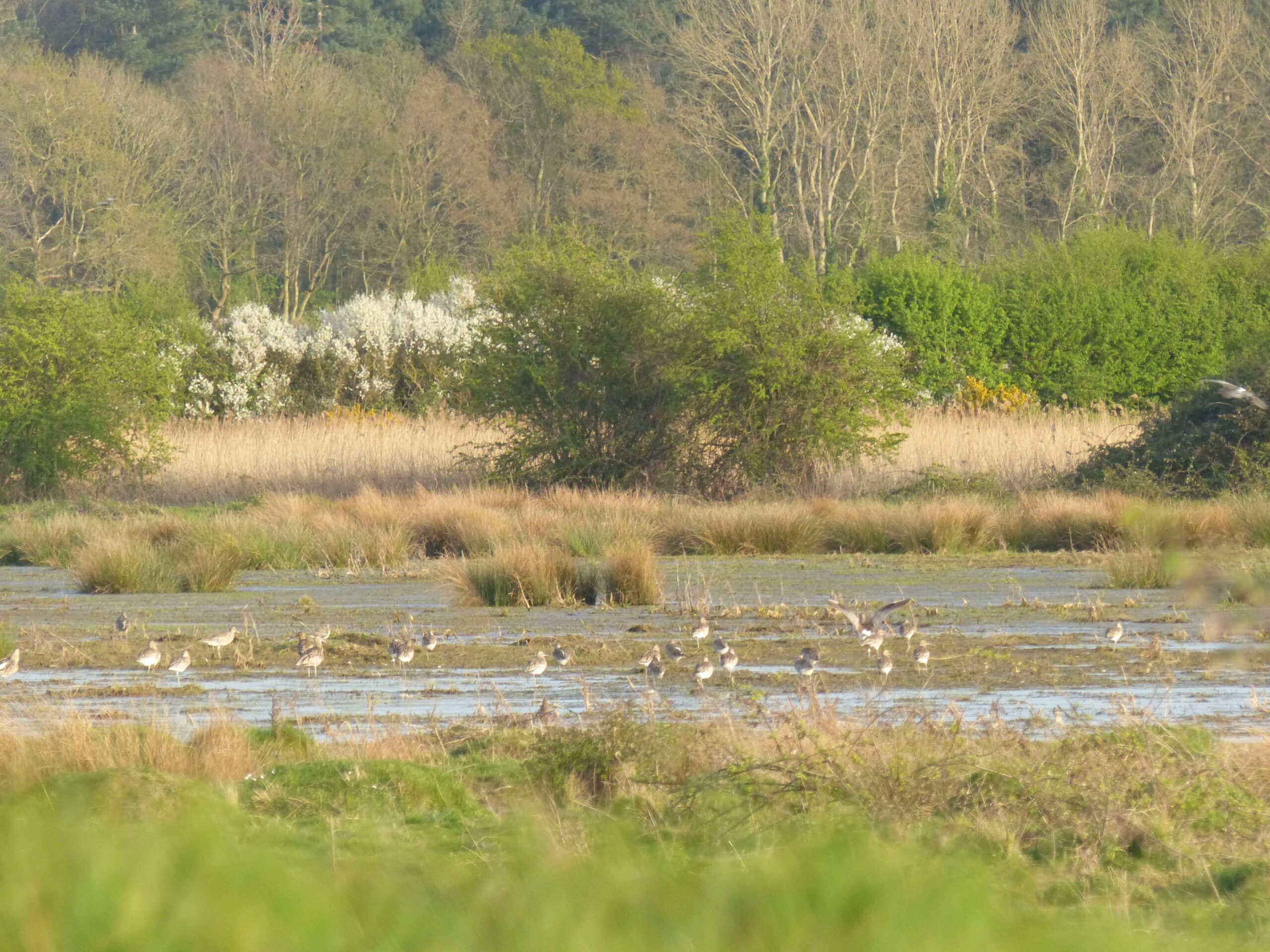 Keep Up Pressure To Ensure Landscape Recovery Scheme Remains Conservationist The Independent