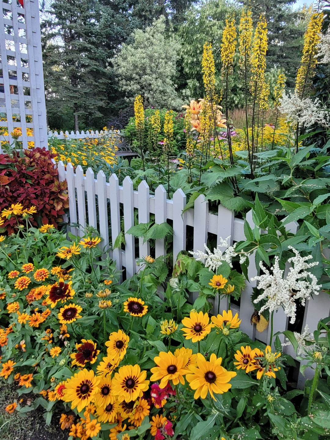 flowers for landscape