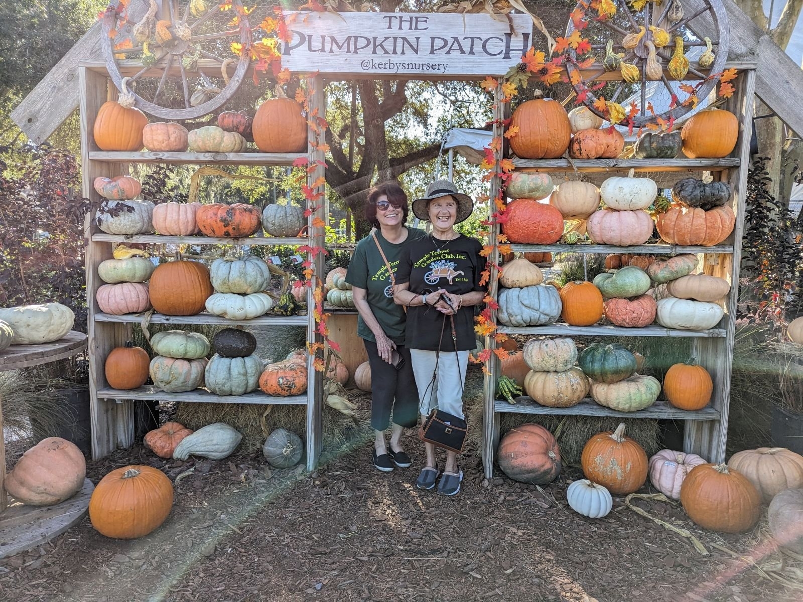 Kerby s Nursery And Tibbys New Orleans Kitchen Temple Terrace Garden Club