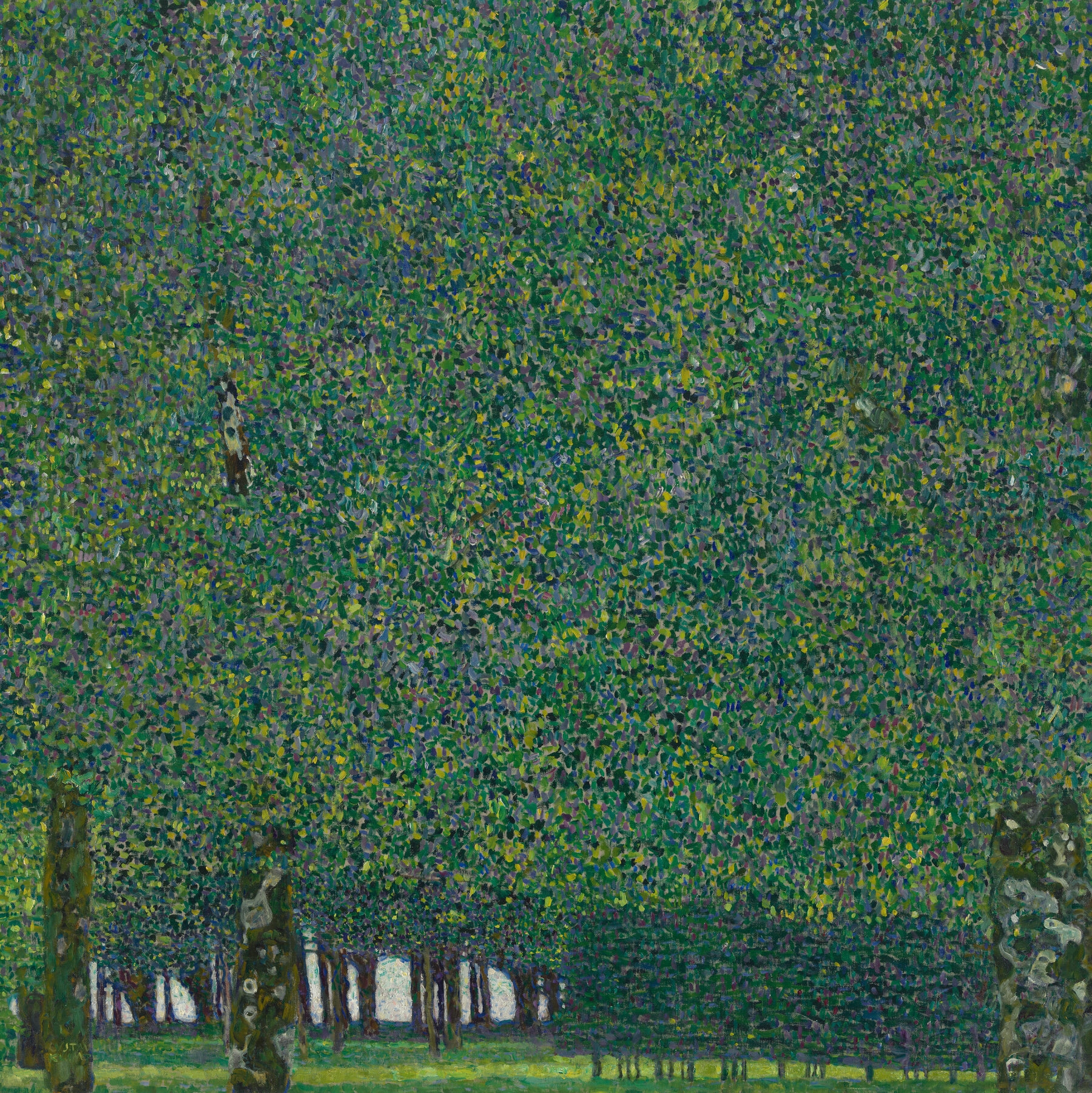 Klimt Landscape Show Is More And Less Than Expected The New York Times