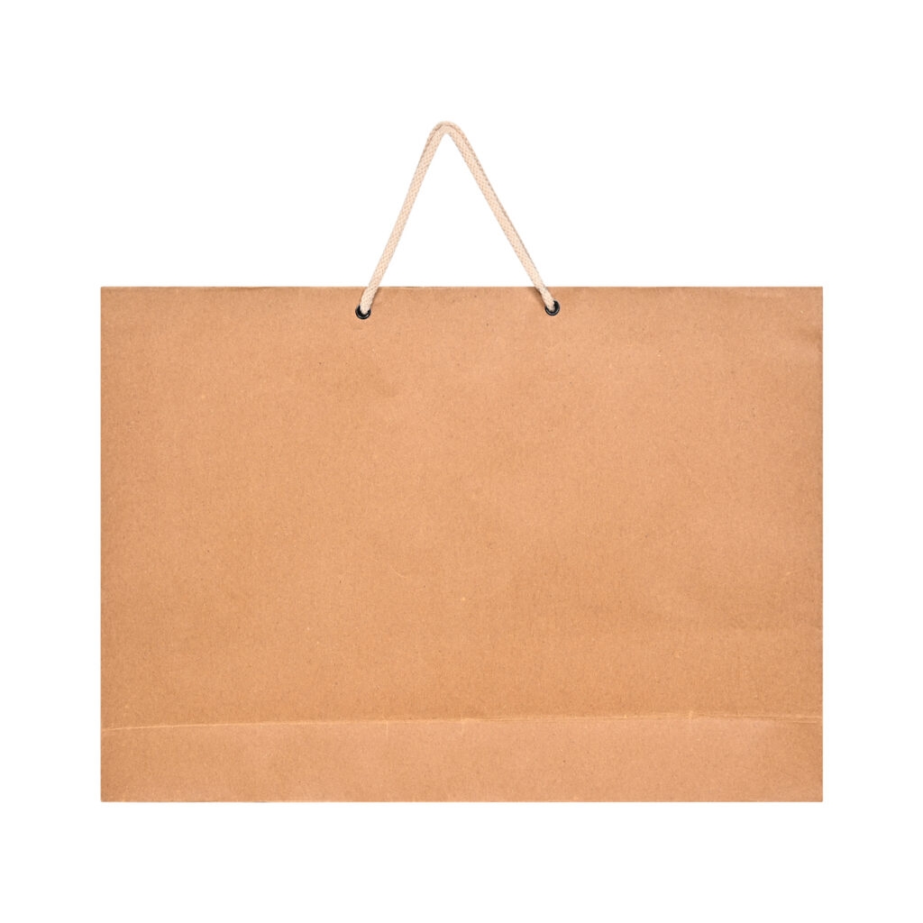 Kraft Paper Brown Bags 10 Count 12 x9 x3 No Plastic Shop