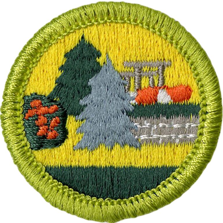 Landscape Architecture Badge Emblem Boy Scouts Of America