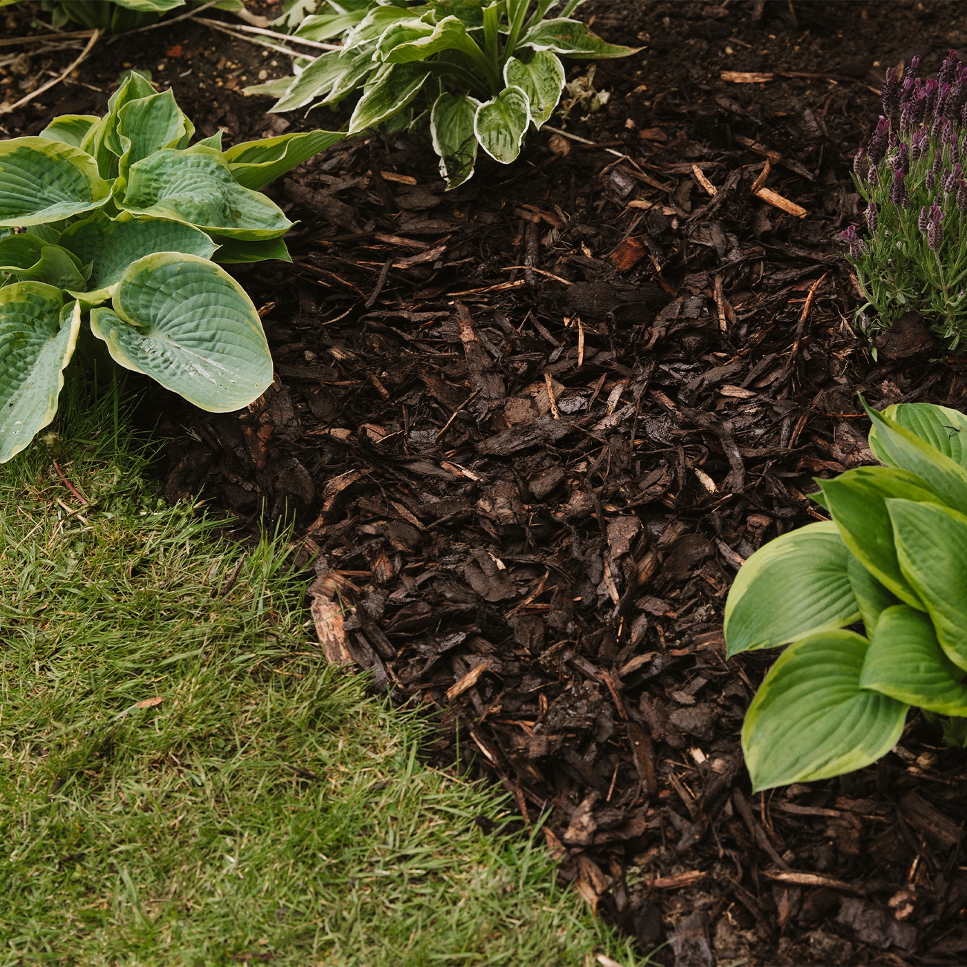 Landscape Bark 100L Bale Crabbies