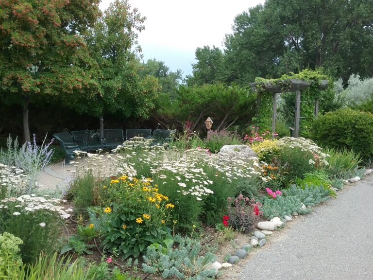Landscape Design And Plant Selection UMN Extension
